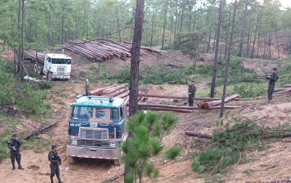 Aseguramiento de madera y vehículos de carga pesada en Guaimaca, Francisco Morazán 